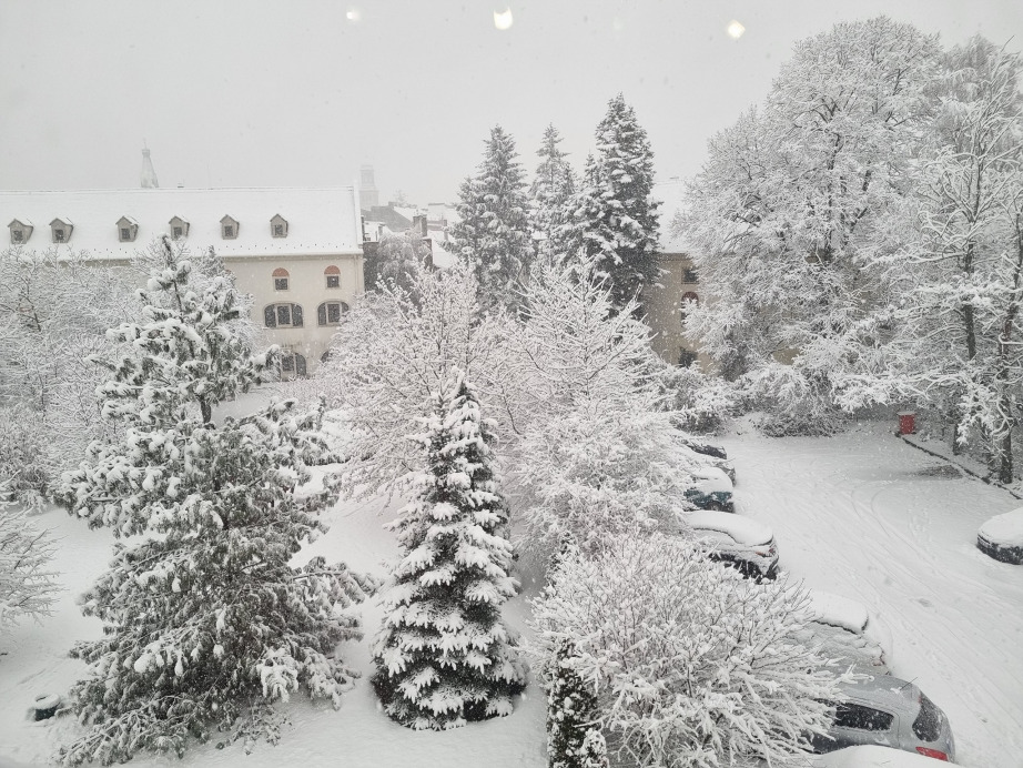 Sopron (Szlavikovicsné Lei Kitti)