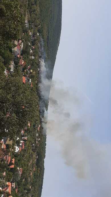 Fotó: Károly Antonella