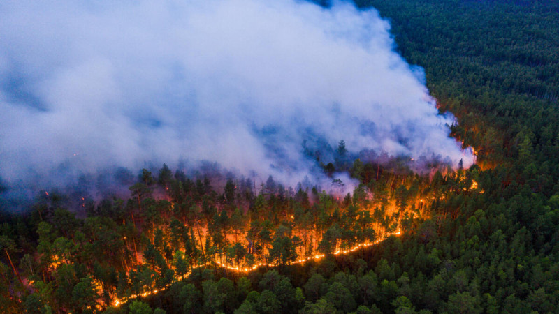 Szibériai tűz (Greenpeace Russia)