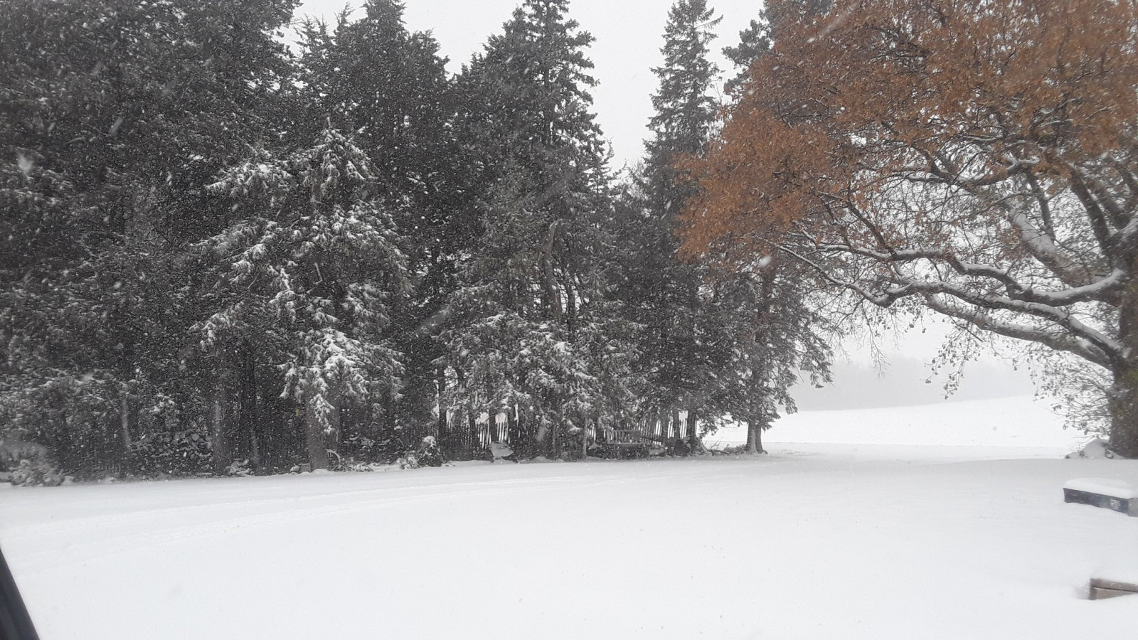 Rekord korai havazás Minnesota államban