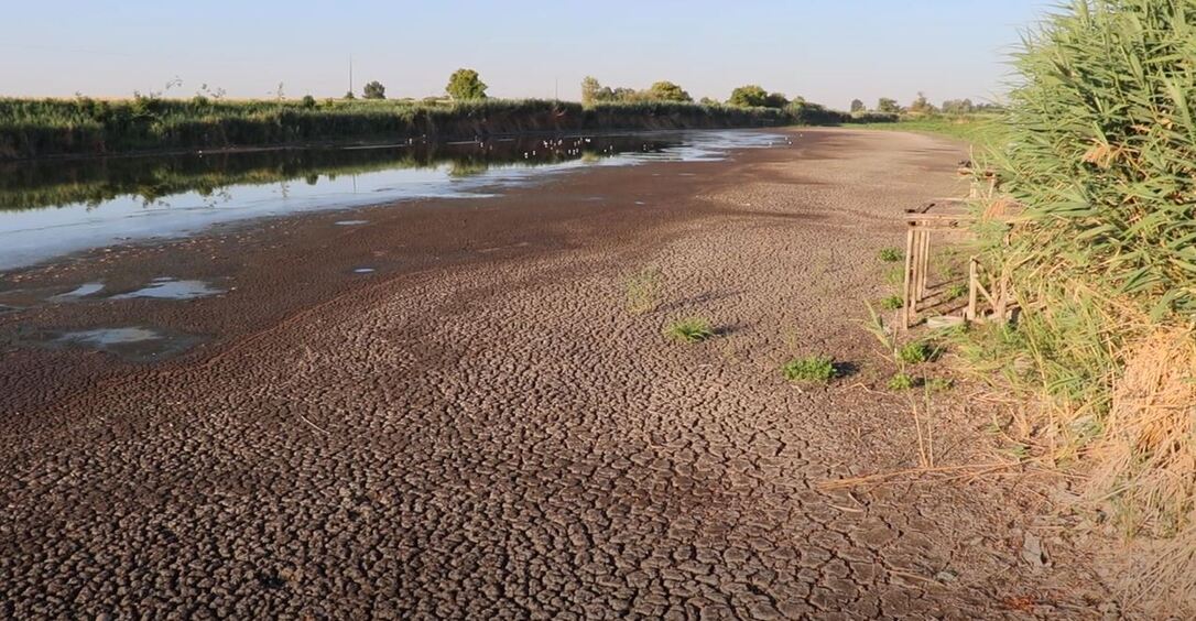 Szárad a holtág (Holt-Tisza Szened, Szentmihály,  - Felvétel: Csonka Ildikó)
