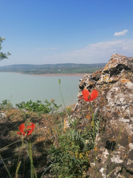 Tihanyi-félsziget 04.25. 