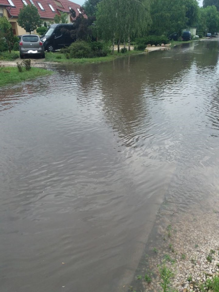 Meleg Sándor fotója