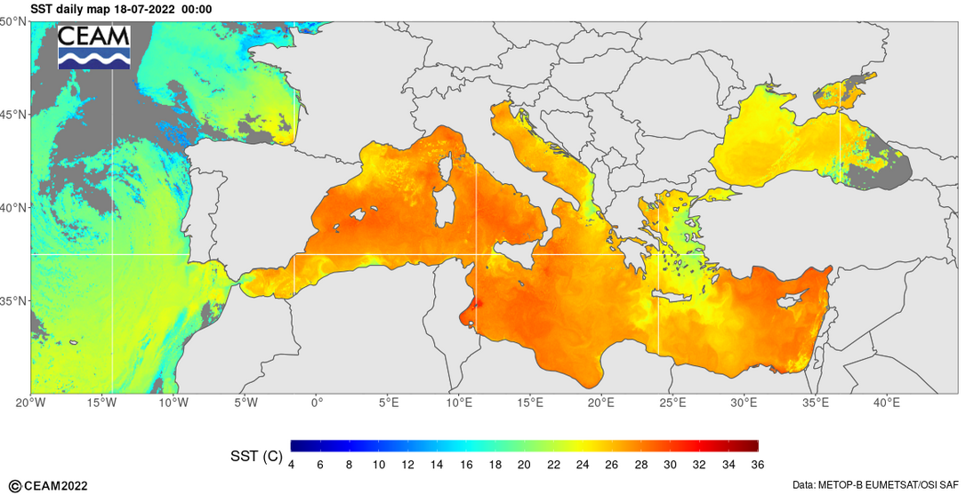 Tengerfelszín hőm. - Forrás: Ceam.es