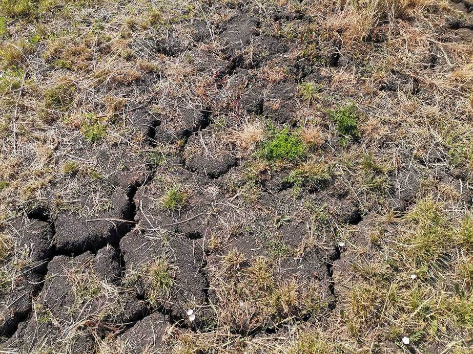 Szárazság keleten, délkeleten - Fotó: Ster Attila