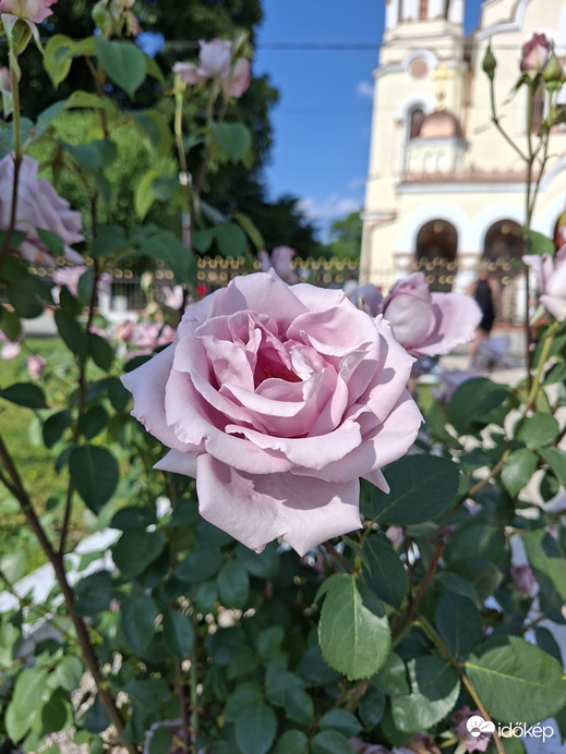Kaszaper