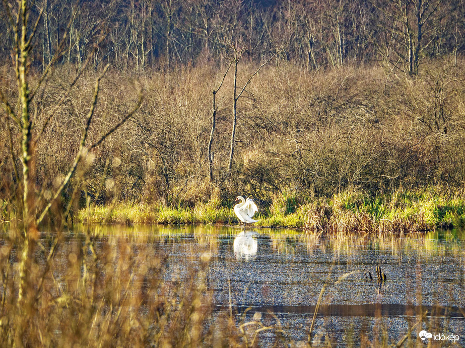 Egy kis nyújtozkodás