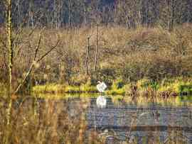 Egy kis nyújtozkodás