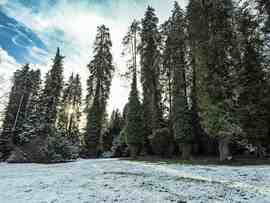 Ágneslaki arborétum