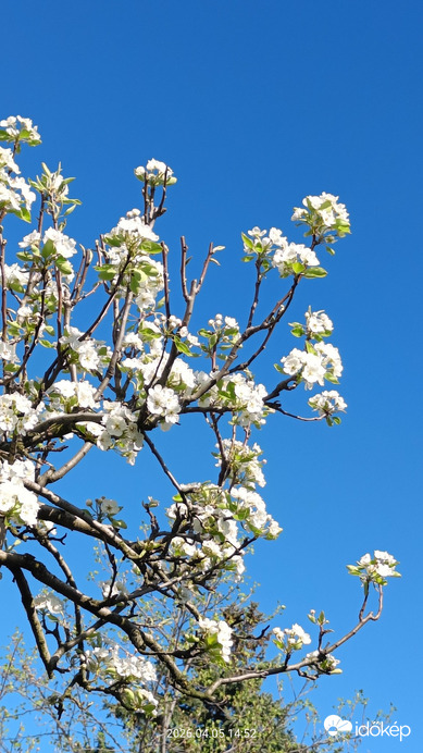 Budapest XVI.ker - Rákosszentmihály