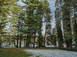 Január vége az arborétumban