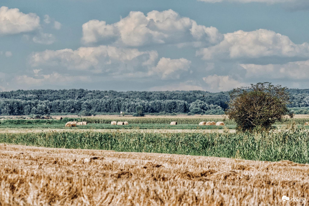 Befejeződött az aratás