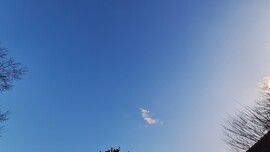 Mórahalom