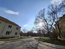 Dunaújváros