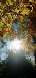szandra_szeged fotója