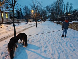 Budapest XII.ker - Sas-hegy