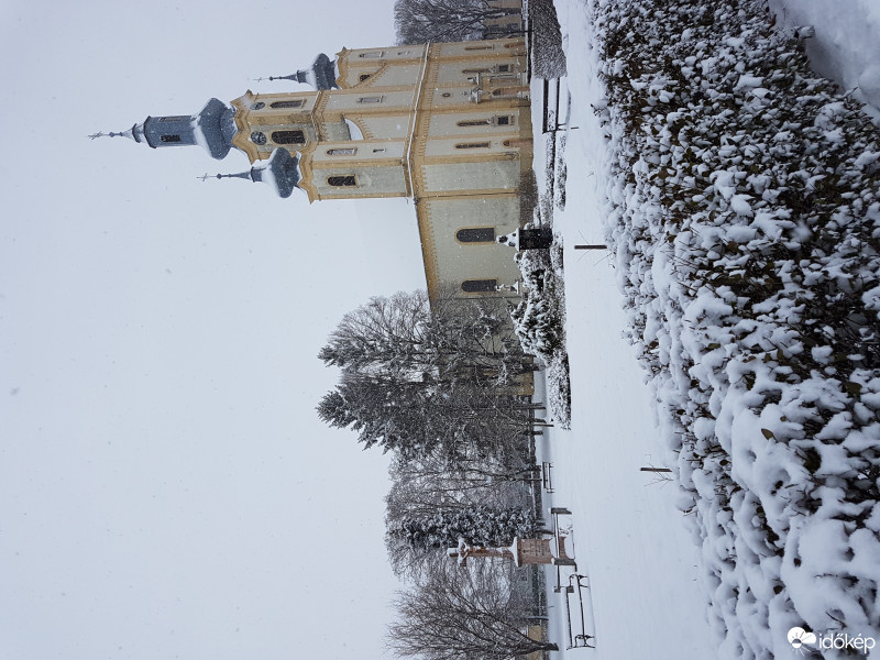 Szany