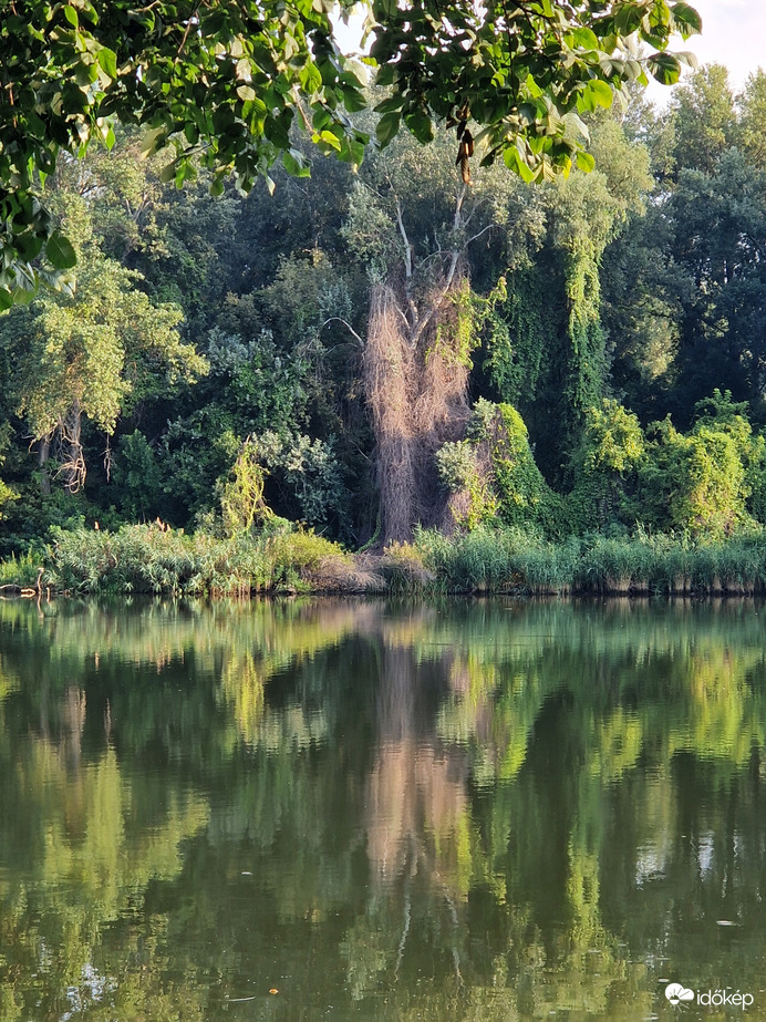 Tisza
