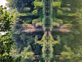 Tisza