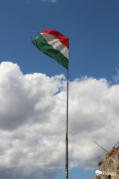 Zászló 