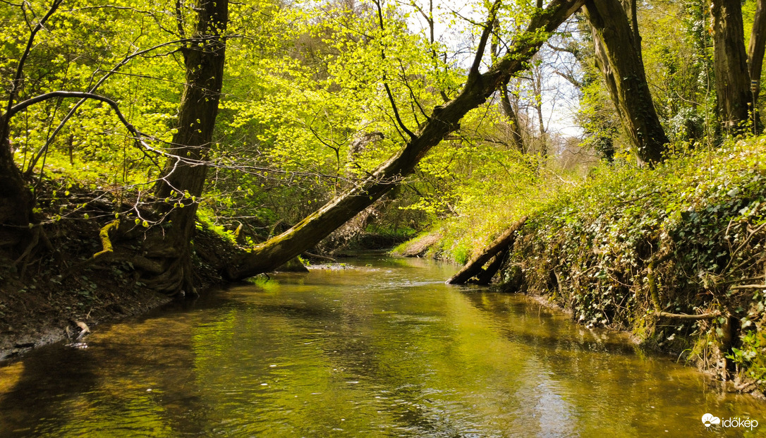 Vadregényes Gaja Patak