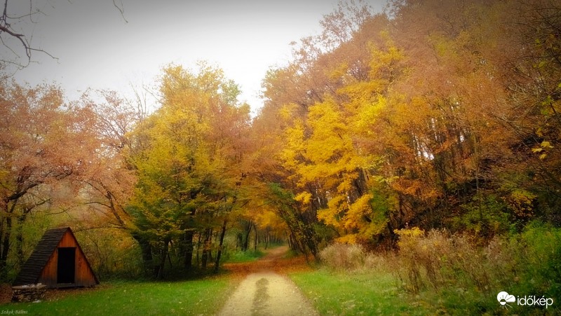 Kirándulás a Cuha völgyben