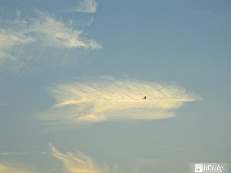 Cirrus madárkával.
