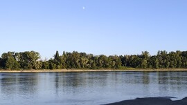 Dunaszekcső