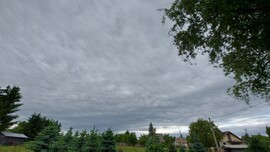 Környe