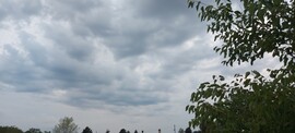 Környe