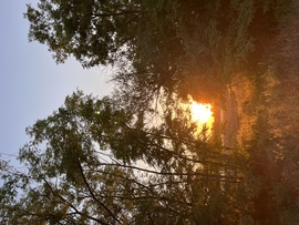 Ásotthalom