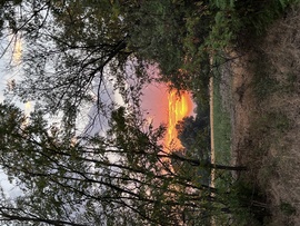 Ásotthalom