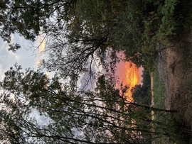 Ásotthalom