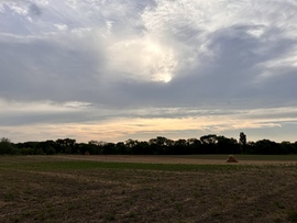 Ásotthalom