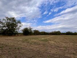 Ásotthalom