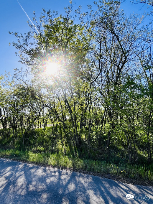 Tavaszi fények és zöldek