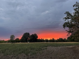 Ásotthalom