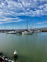 Vitorlások, hattyú, Balaton
