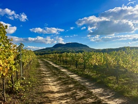 Őszi Balaton-felvidék