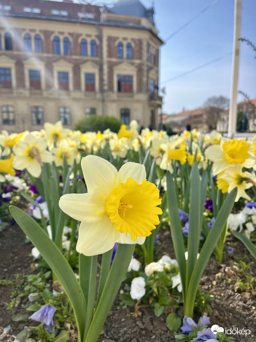 Virágok és napsütés üdvözölnek Keszthely főterén