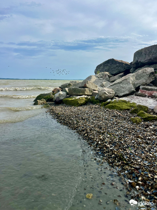 Sok-sok apró kagyló a keszthelyi Libás strandon