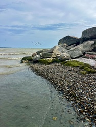 Sok-sok apró kagyló a keszthelyi Libás strandon