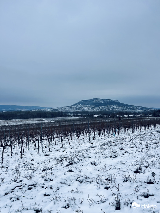 Havas szőlősorok, Szent György-hegy