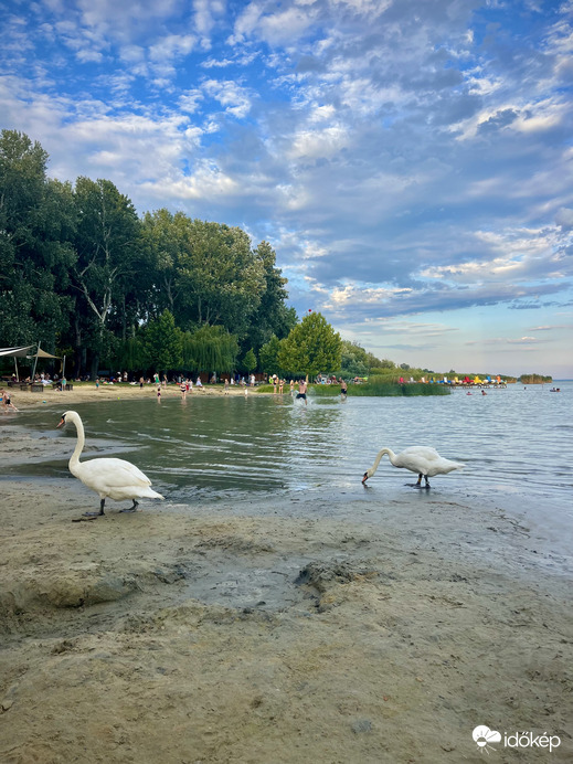 Miután a fürdőzők hazamennek…