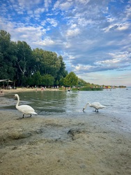 Miután a fürdőzők hazamennek…