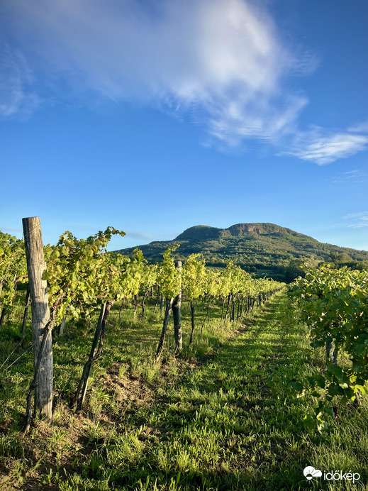Szőlősorok&Badacsony