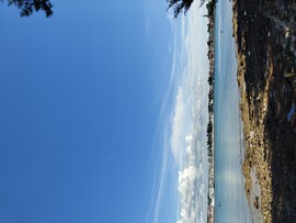 Novigrad