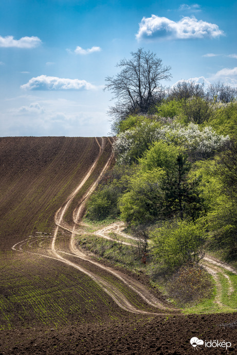 Út a horizont felé