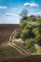 Út a horizont felé