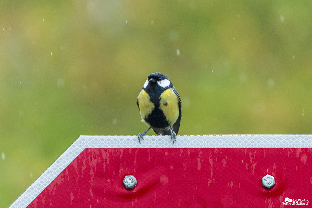 STOP, egy kis pihenő